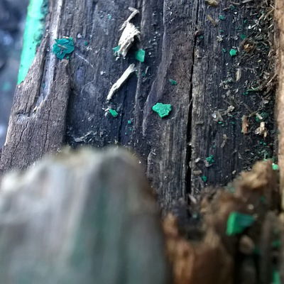 Яна Булыгина