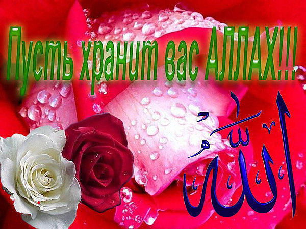 Закир Иминов