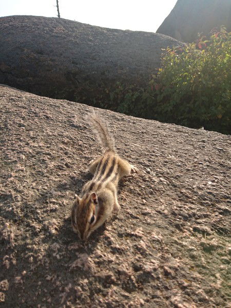 Виктория Филатова