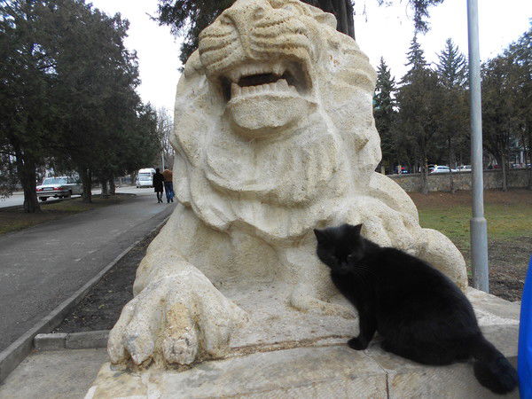 Хулига_ Ночка