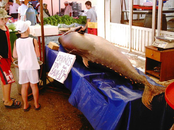 Саша Якунин