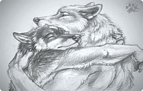 Андрей Волков