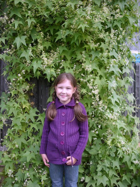 Ирина Краева