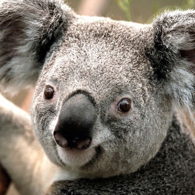 Ваня Иванов