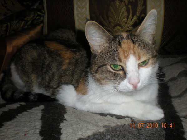 Елена Милиса