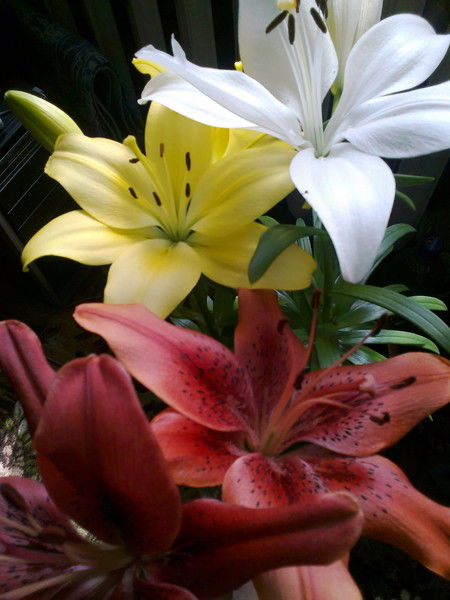 Айзат Гайсин