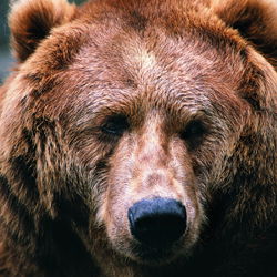 Дмитрий Познающий