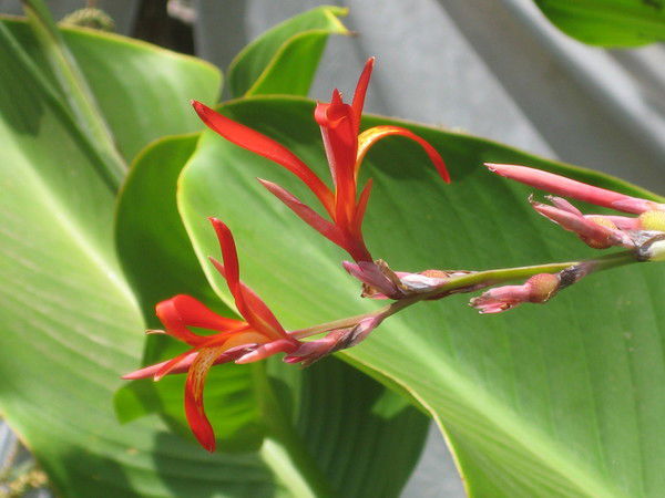 Наталья Стогова