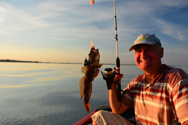 Николай Николаенко