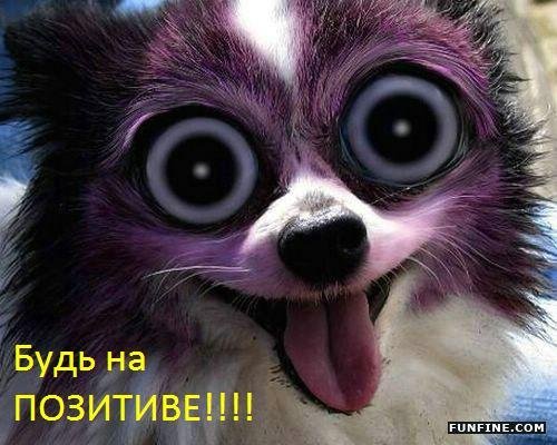 Ольга Пушевская