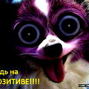 Ольга Пушевская