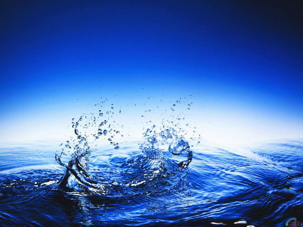 Марина Гольцер