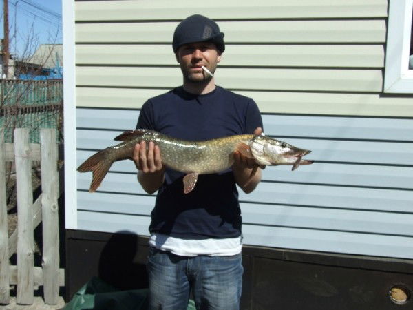 Александр Алексеев