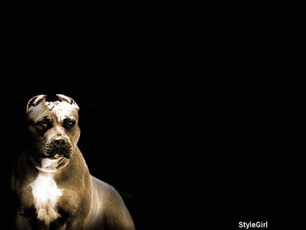 Сергей Рудаков