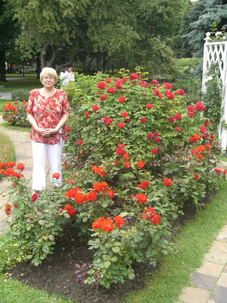 Ольга Щербакова