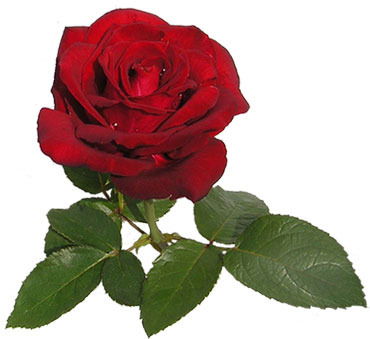 Зухра Абдуллина