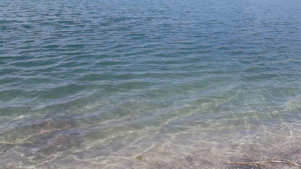 Александр Василенко