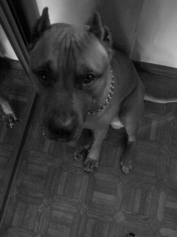 Анна Шарапова