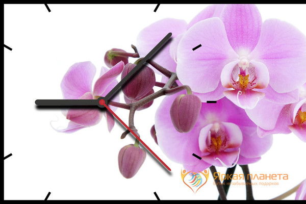 Любовь Мясцова