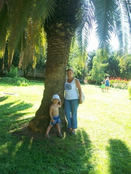 Елена Позолотина