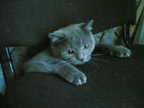 Дмитрий Филатов