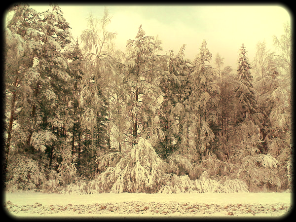 Алексей Александров