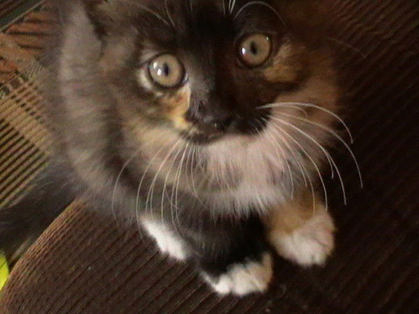 Наталья Попова