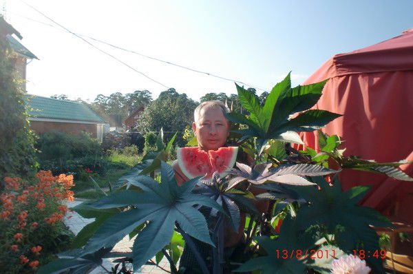 Евгений Колесников