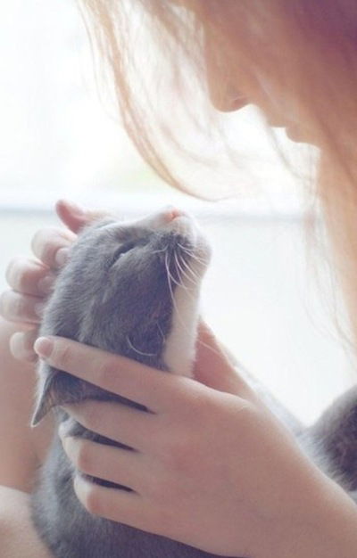 Виктория Степанова