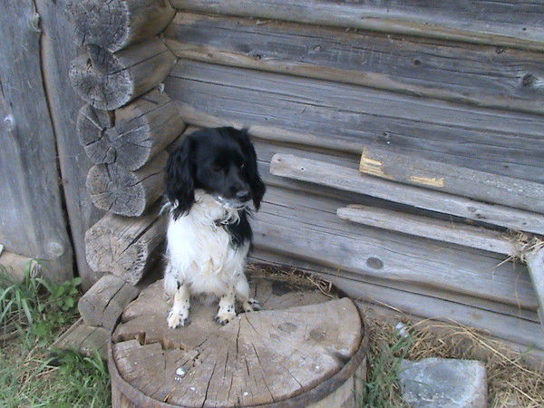 Наталья Лаптева