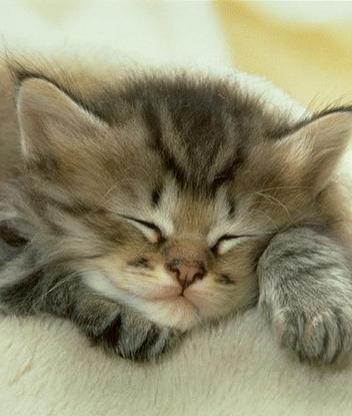 Оксана Мусихина