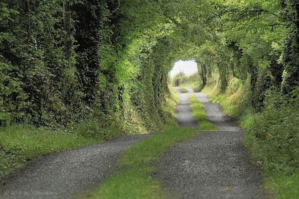 Любовь Дормидонтова