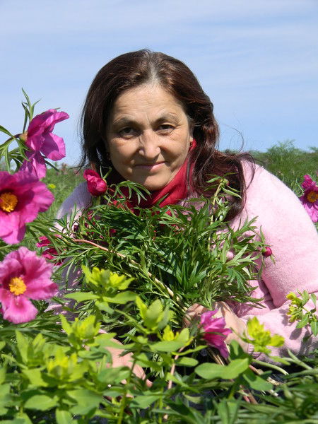 Елена Глазунова