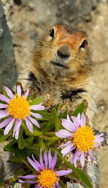 Галина Смирнова