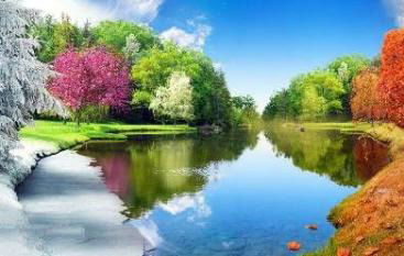 Настя Покровская