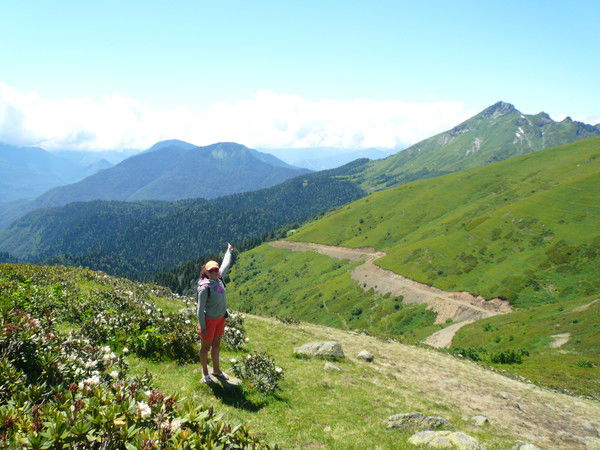 Ксения Гребенщикова