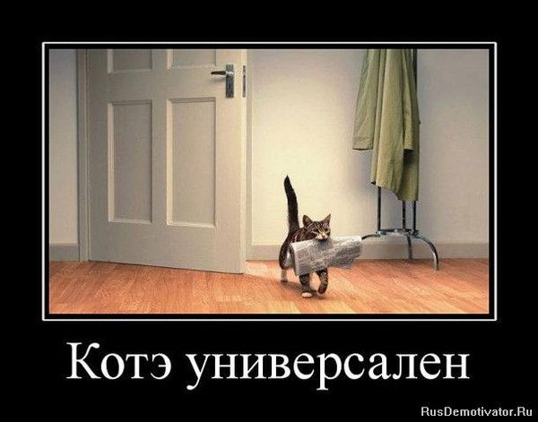 Александр Подарилов