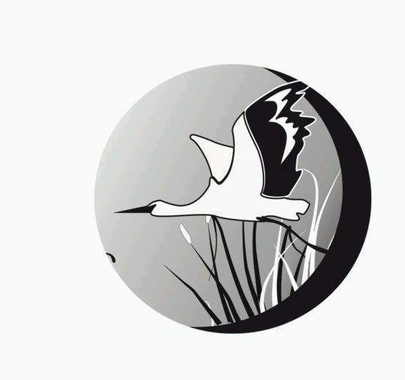 Владимир Новосибирский