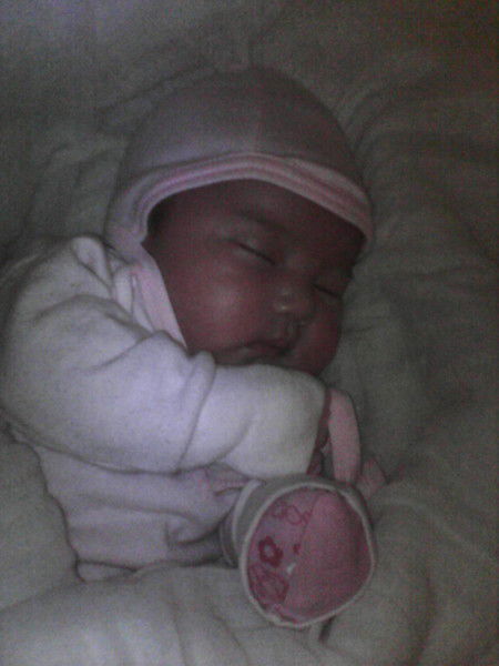 Арапбек_Элнура Алибеков Алибекова