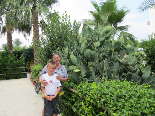 Роза Стрельник