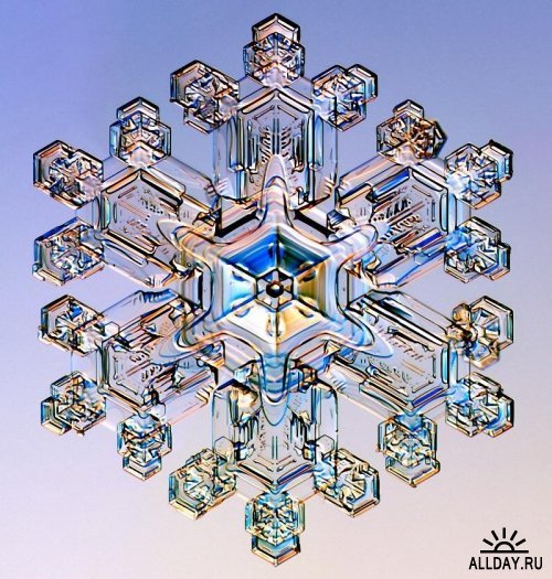 Галя Щекотур