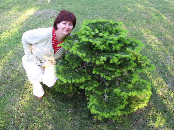 Светлана Шипитько