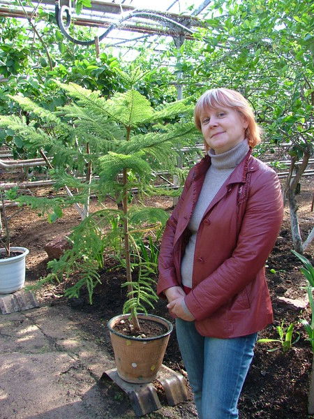 Ludmila-Lazareva Лазарева Людмила