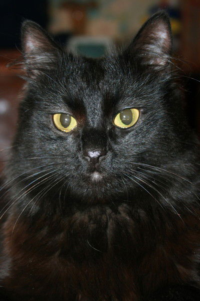 Ooo "kn Electronics"