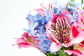 Оксана Мельникова