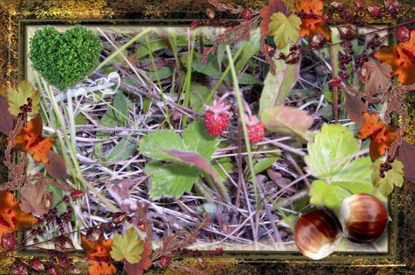 Елена Максимова