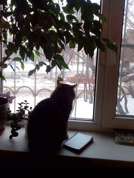 Игорь Попов