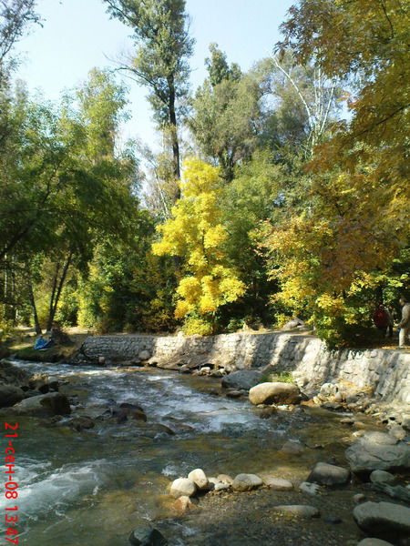 Алия Утинчиева