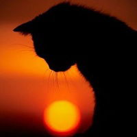 Киса Кисуня