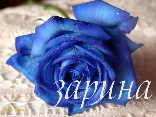 Зарина Болуспаева